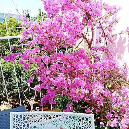 Caldi Abbracci Guest house